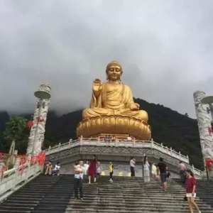 һȥβξc(din)D(zhun)D(zhun)֮һ