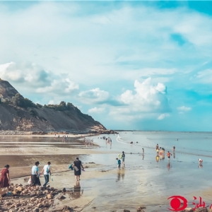 ���DƬ��������L(f��ng)�������ο�