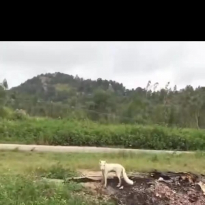 S@(g)ط@F(xin)׺؂...