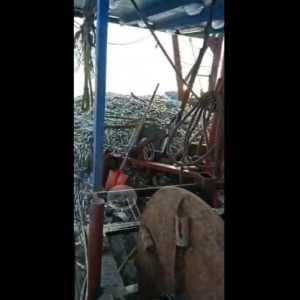 βO . @һW(wng) . S