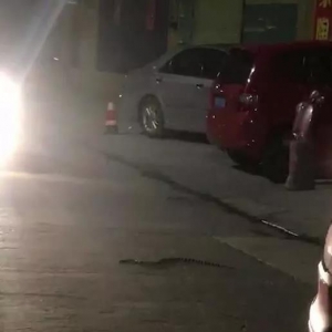 SĳС^(q)Tж߳]ҧַҪ...