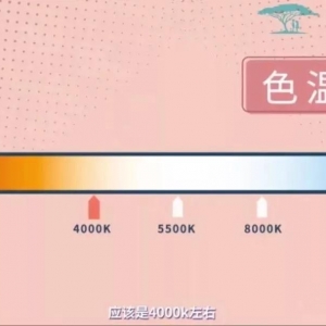 С�_�������v��