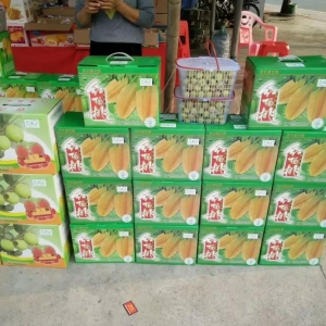 �����N��׃��Ó�N���ı��󡪡� �S�^(q��)��(sh��)ʩ����С����ʽ����(w��)��Q�r(n��ng)�a(ch��n)Ʒ���N���}