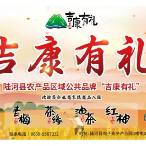 V|L(zhng)۲ƽPߵ׷ը