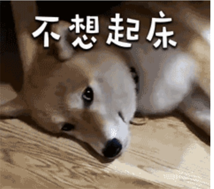 DƬ